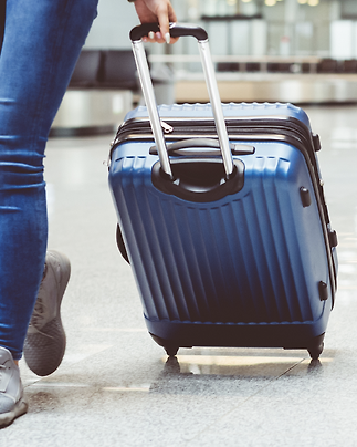 Protocol discount luggage kmart